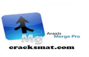 araxis merge pro