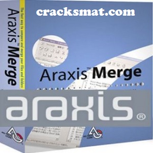 instaling Araxis Merge Professional 2023.5954